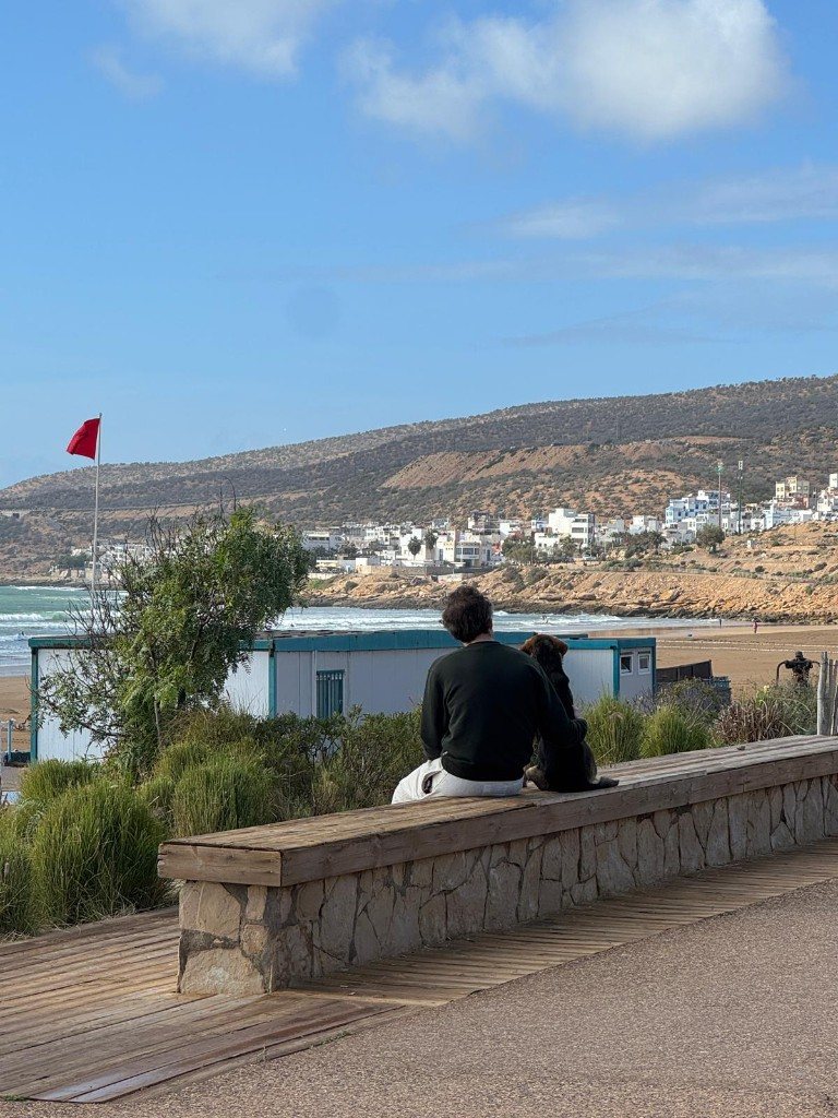 Save The Paws — volunteer with a dog overlooking the coast