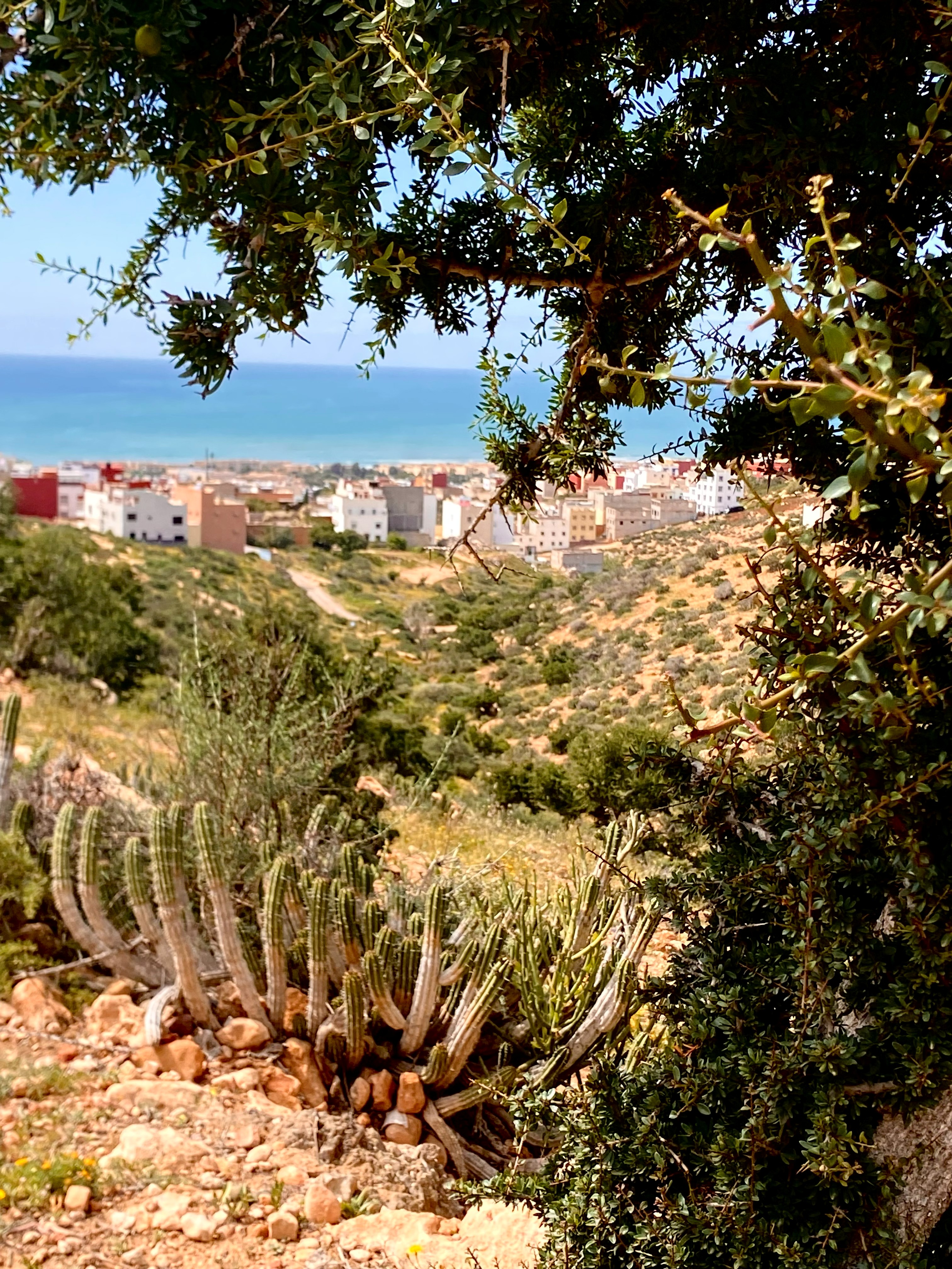 Atlantic coastline and mountain scenery near Tamraght, Morocco