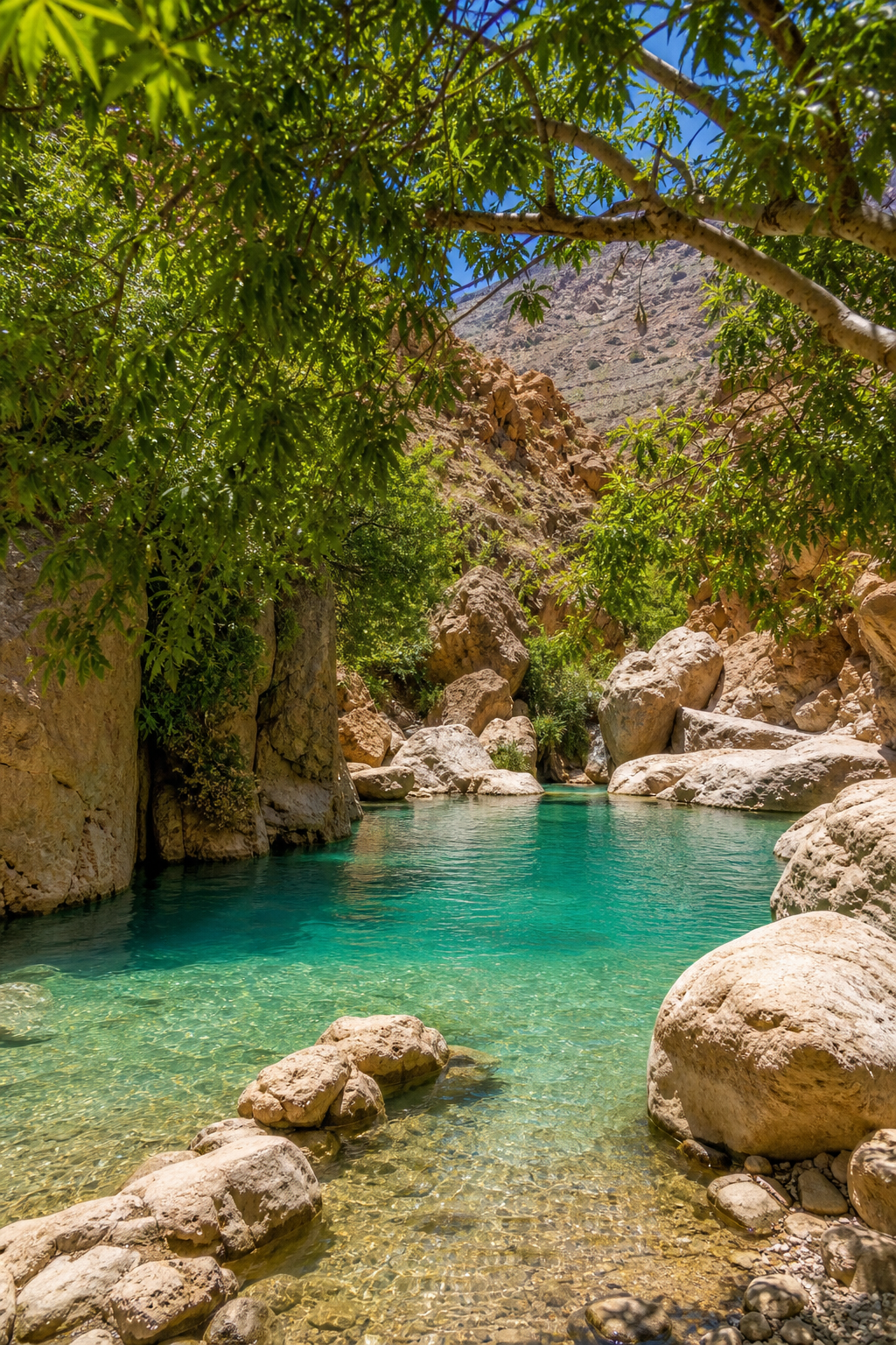 Paradise Valley natural pools and canyon